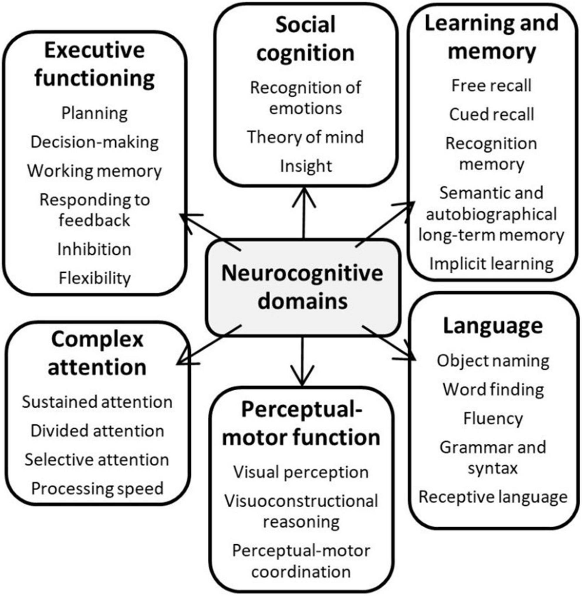 Exploring neurocognitive factors and brain activation in adult cochlear implant recipients associated with speech perception outcomes—A scoping review